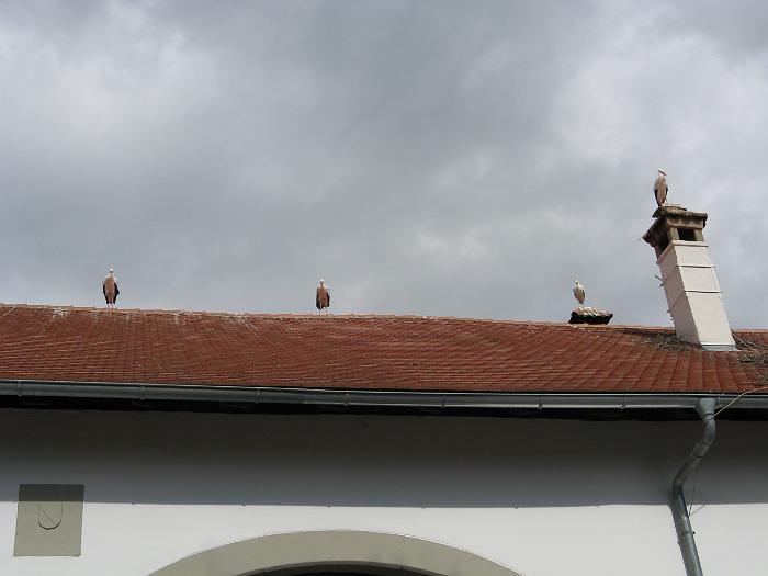 Bild 2008 016